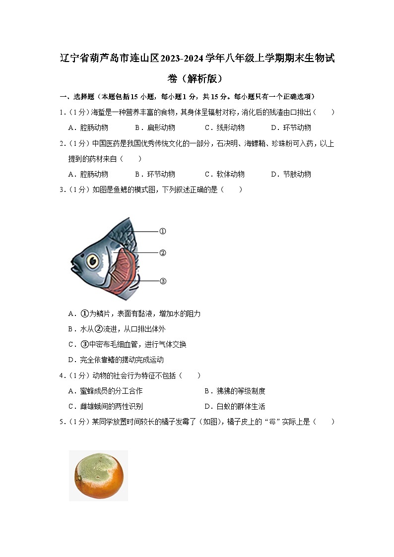 辽宁省葫芦岛市连山区2023-2024学年八年级上学期期末生物试卷01