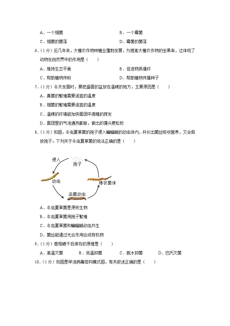 辽宁省葫芦岛市连山区2023-2024学年八年级上学期期末生物试卷02