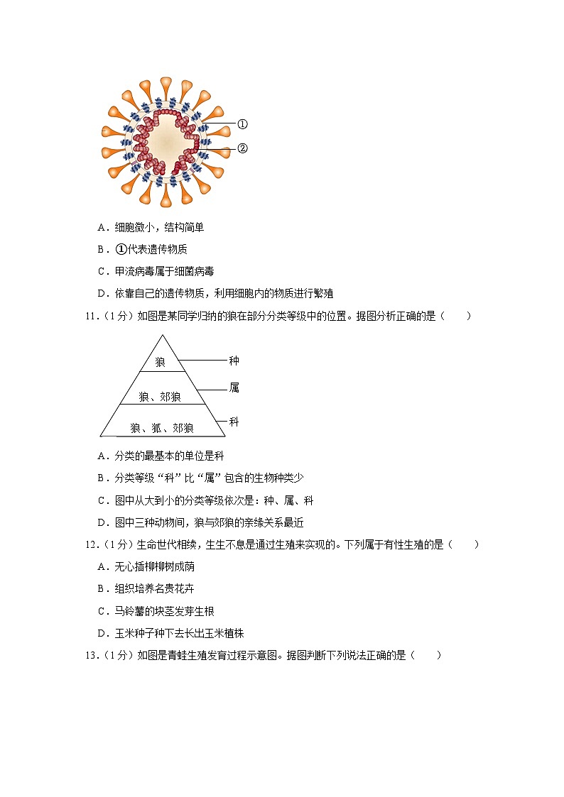 辽宁省葫芦岛市连山区2023-2024学年八年级上学期期末生物试卷03