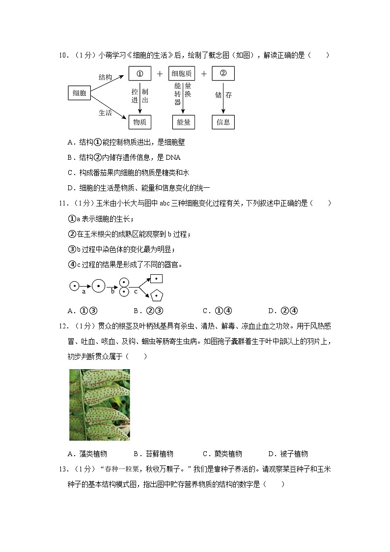 湖北省黄石市部分学校2023-2024学年七年级上学期期末考试生物试卷第3页