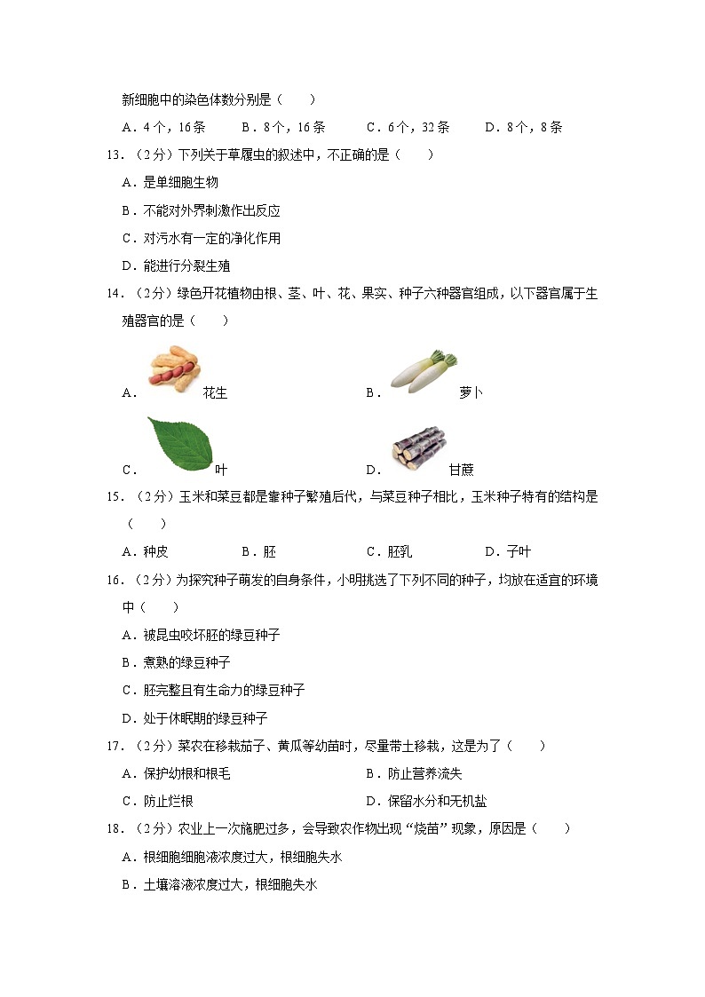 云南省文山州马关县2023-2024学年七年级上学期期末生物试卷第3页