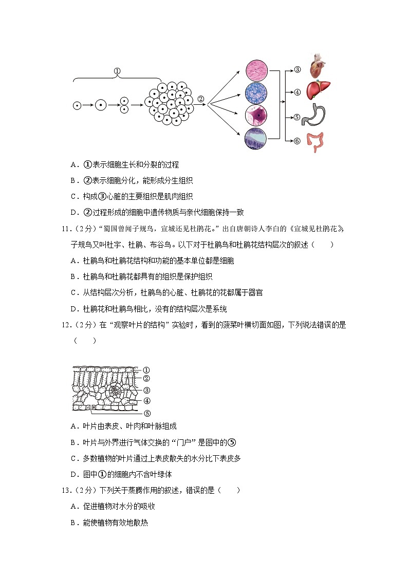 四川省广安市邻水县2023-2024学年七年级上学期期末生物试卷03