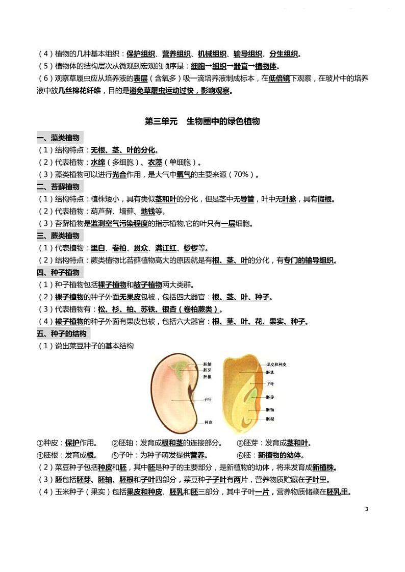【中考生物】基础知识梳理第3页
