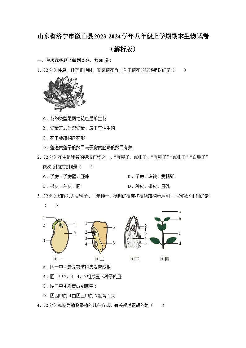 山东省济宁市微山县2023-2024学年八年级上学期期末生物试卷01