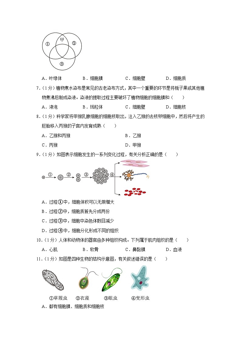 陕西省榆林市靖边县2023-2024学年七年级上学期期末生物试卷02