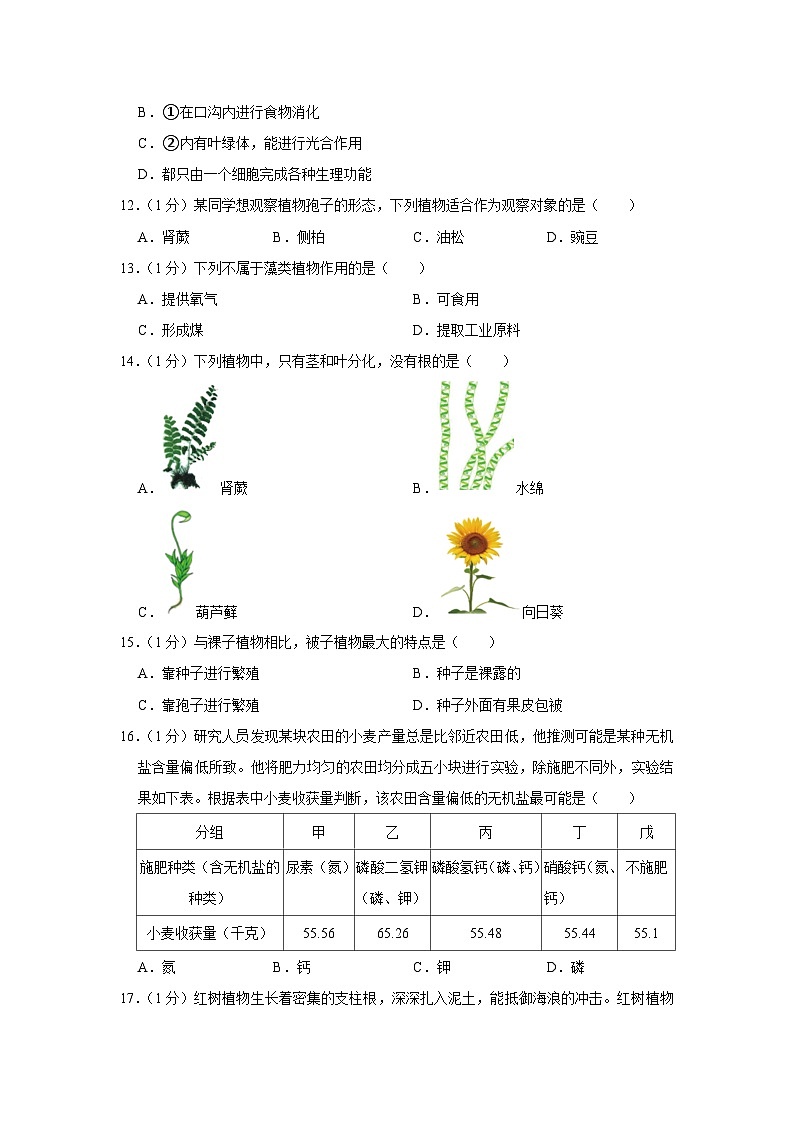 陕西省榆林市靖边县2023-2024学年七年级上学期期末生物试卷03