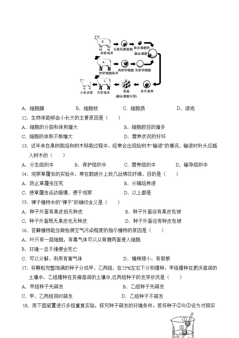 七年级生物开学摸底考（考试版）第3页