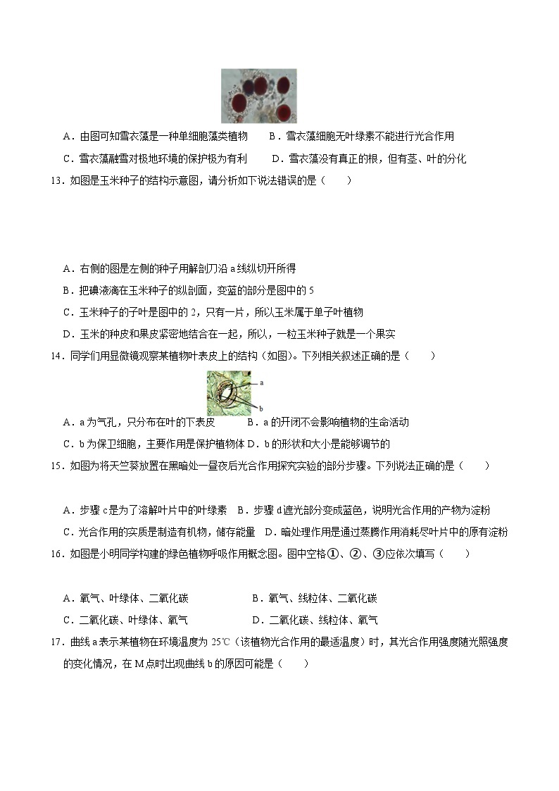 【开学摸底考】七年级生物（山东专用）-2023-2024学年初中下学期开学摸底考试卷.zip03