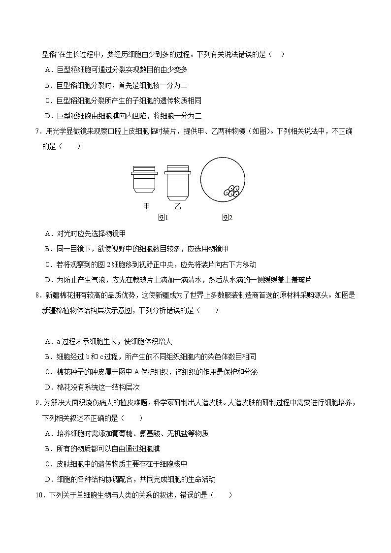 【开学摸底考】七年级生物（广西专用）-2023-2024学年初中下学期开学摸底考试卷.zip02