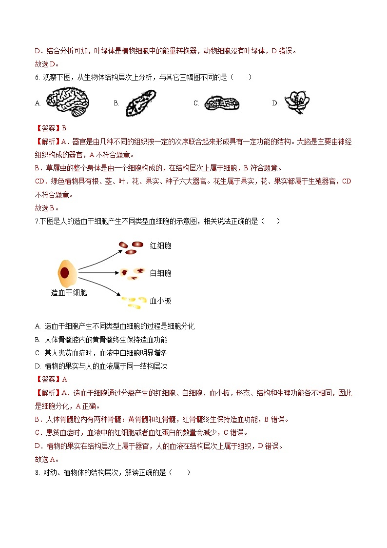 【开学摸底考】七年级生物（武汉专用）-2023-2024学年初中下学期开学摸底考试卷.zip03