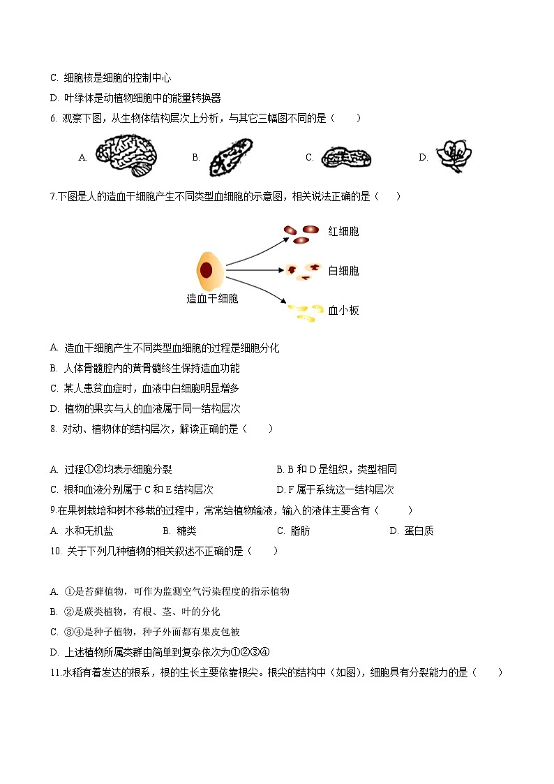 【开学摸底考】七年级生物（武汉专用）-2023-2024学年初中下学期开学摸底考试卷.zip02