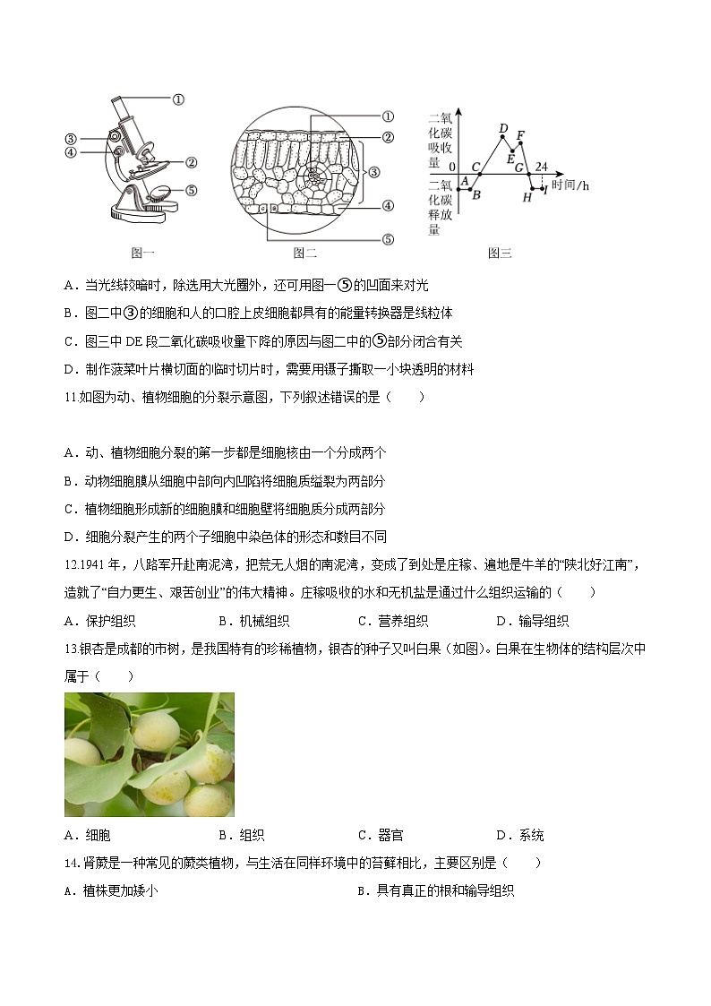 七年级生物开学摸底考（江西专用）（考试版）第3页
