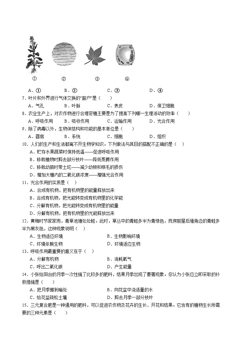 【开学摸底考】七年级生物（海南专用）-2023-2024学年初中下学期开学摸底考试卷.zip02