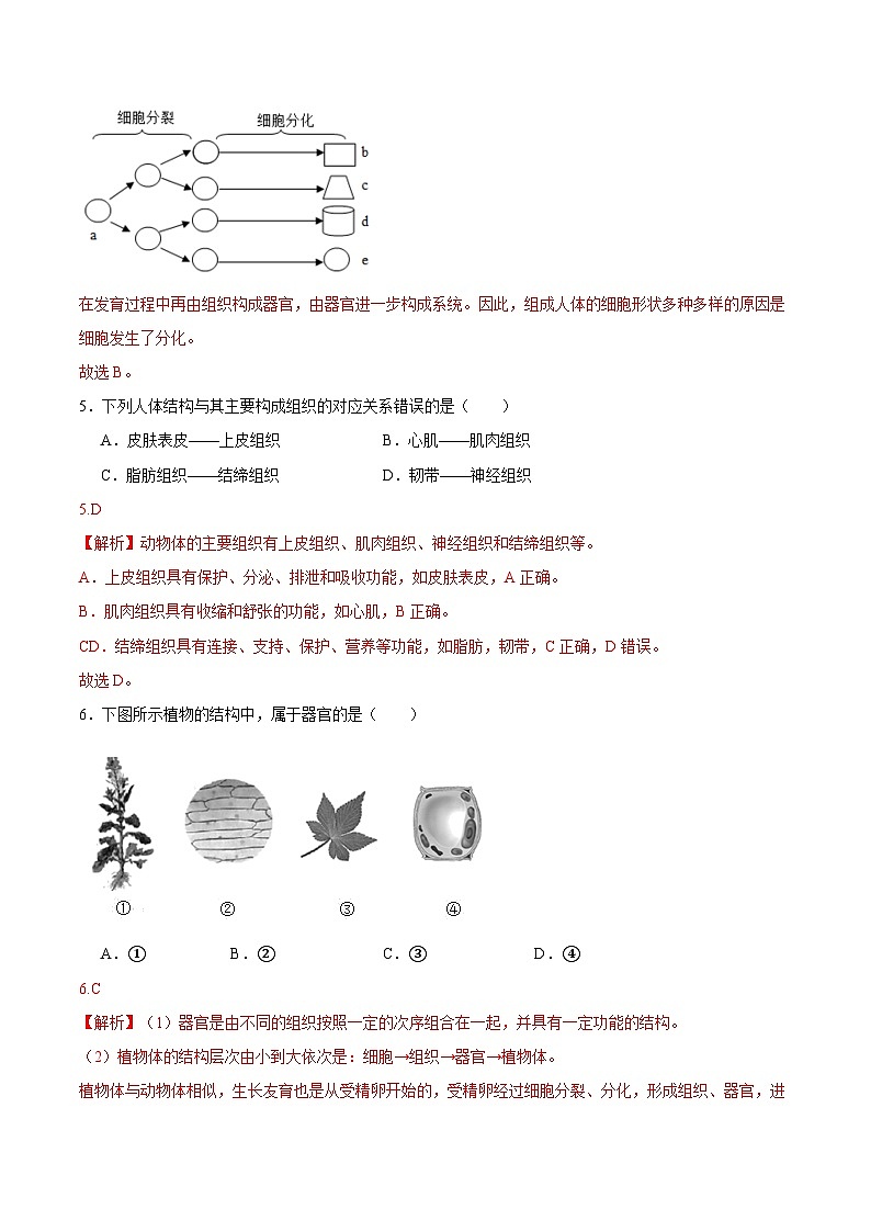 【开学摸底考】七年级生物（海南专用）-2023-2024学年初中下学期开学摸底考试卷.zip03