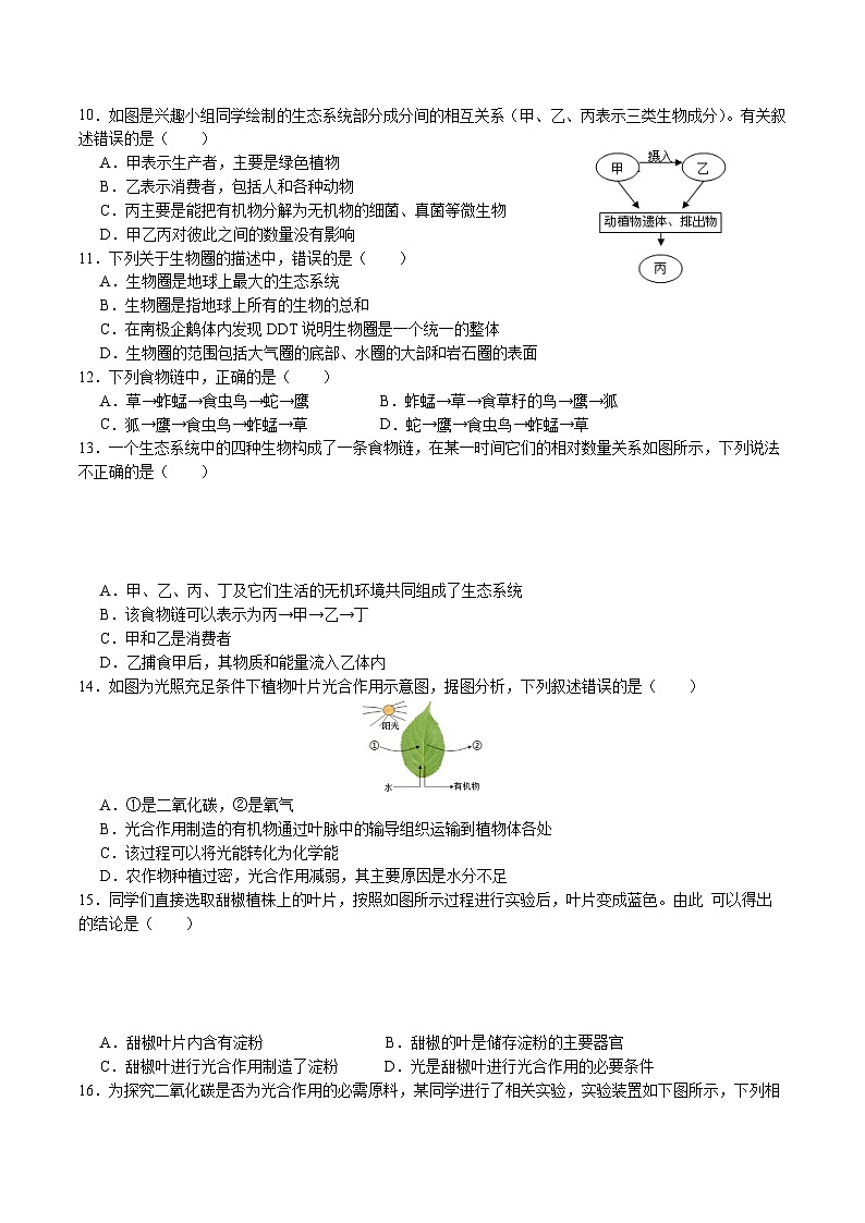 【开学摸底考】七年级生物（苏科版）-2023-2024学年初中下学期开学摸底考试卷.zip02