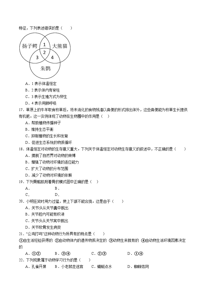 八年级生物开学摸底考（广州专用）（试卷版）第3页