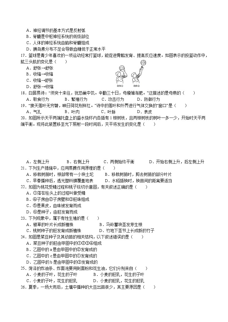 【开学摸底考】八年级生物（苏科版）-2023-2024学年初中下学期开学摸底考试卷.zip03