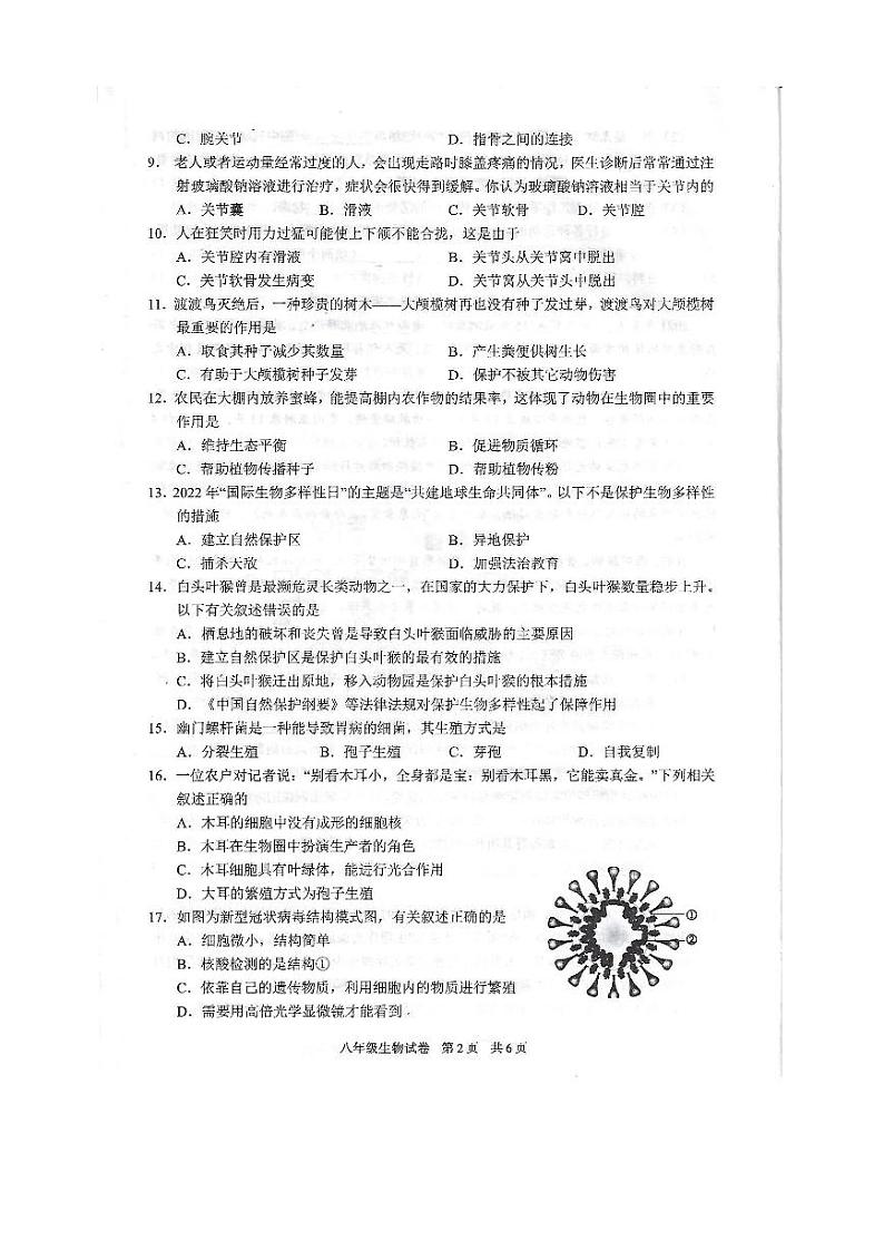 广东省湛江市徐闻县2023—2024学年八年级上学期期末教学调研测试生物试卷02