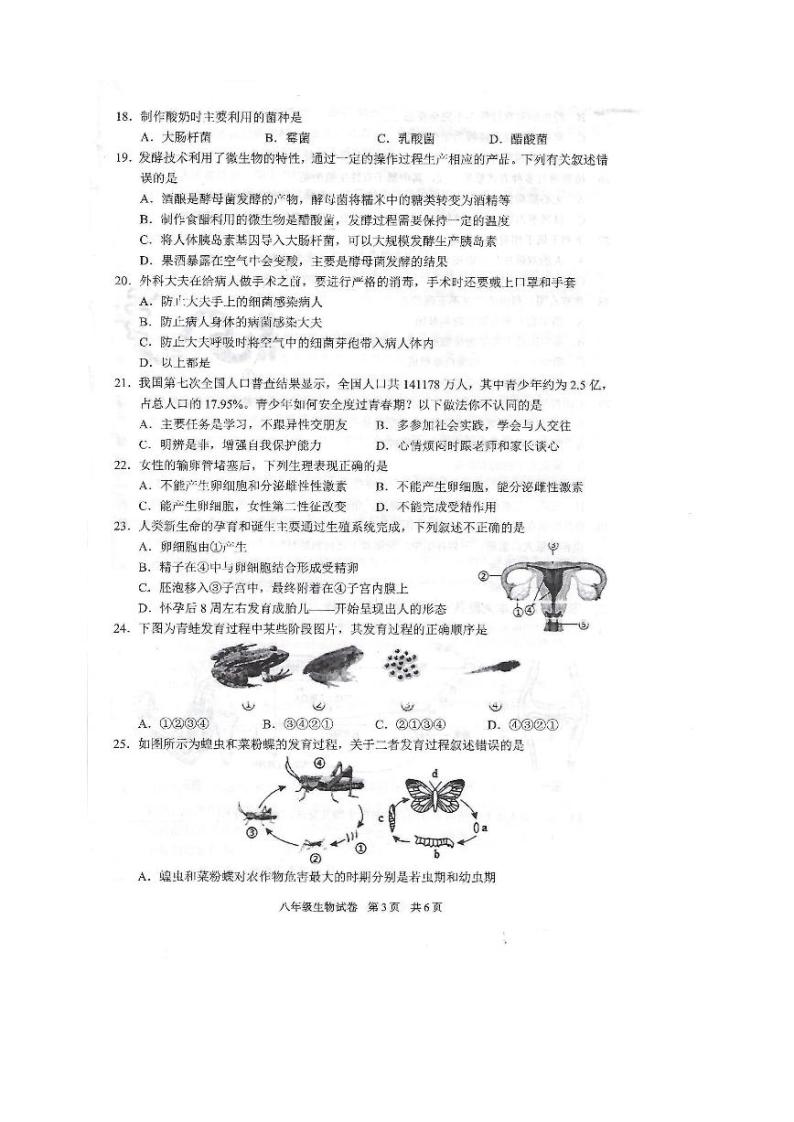 广东省湛江市徐闻县2023—2024学年八年级上学期期末教学调研测试生物试卷03