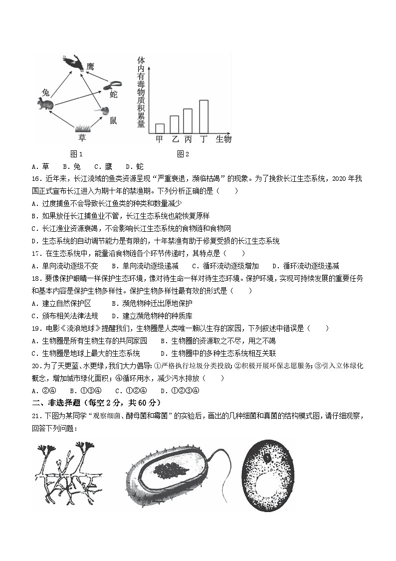 河南省洛阳市嵩县2023-2024学年八年级上学期期末考试生物试题03