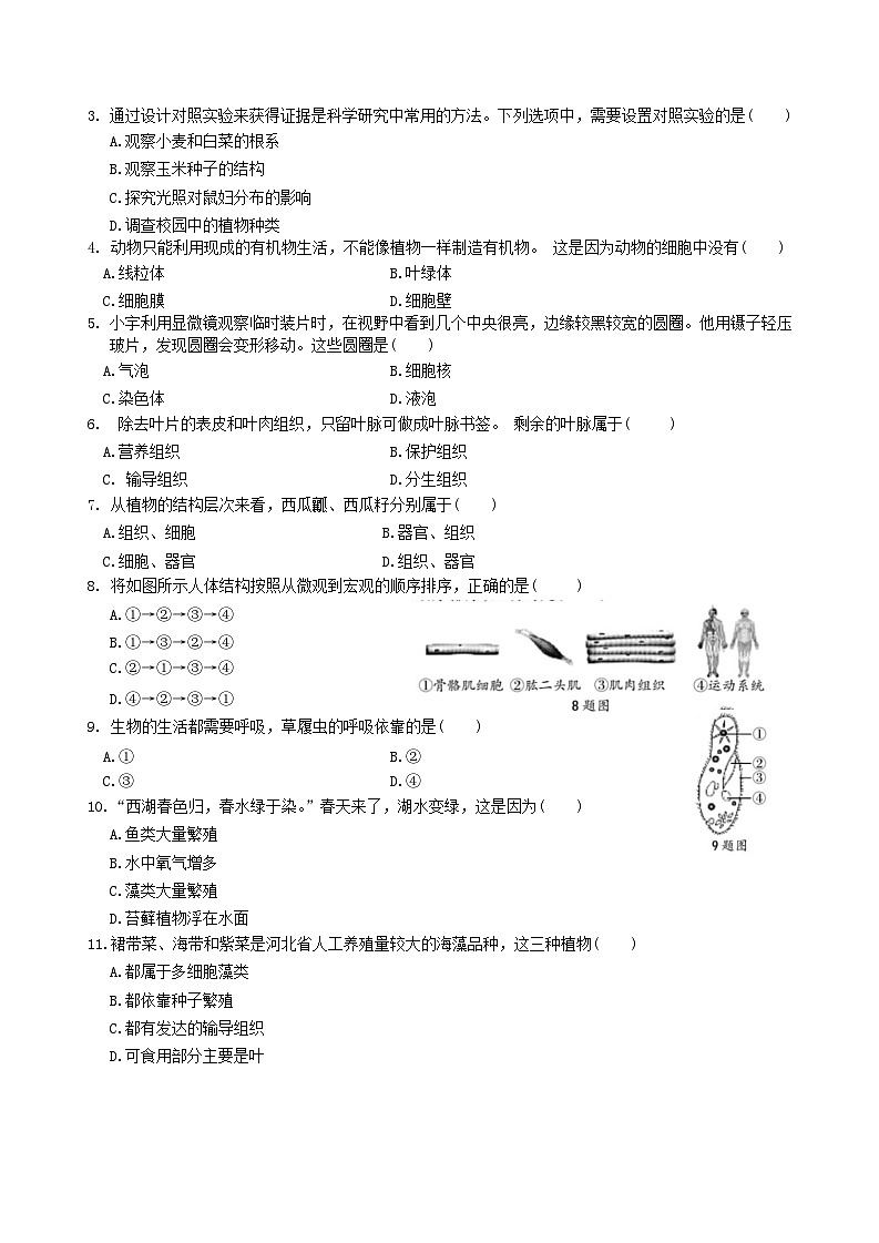 河北省保定市阜平县2023-2024学年七年级上学期期末生物试题02