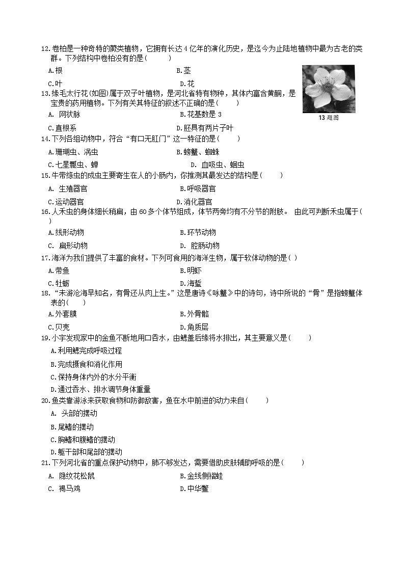 河北省保定市阜平县2023-2024学年七年级上学期期末生物试题03