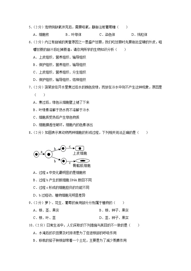 河南省南阳市方城县2023-2024学年七年级上学期期末生物试卷02