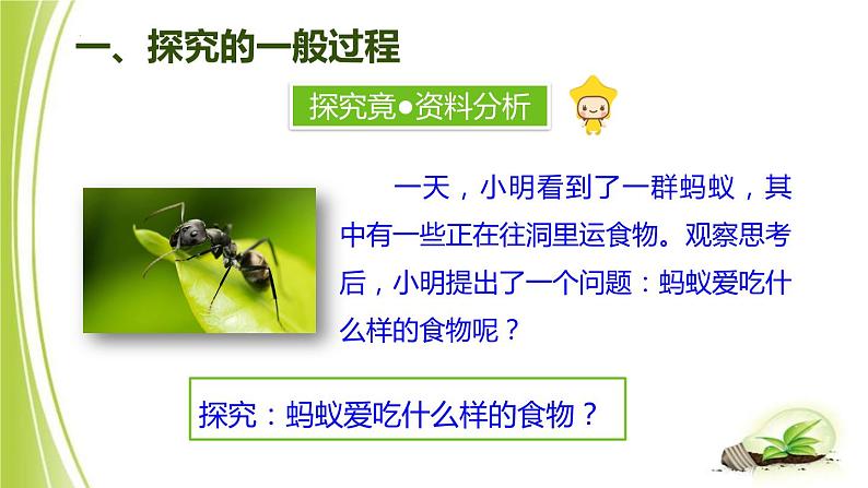 1.4+学习探究课件+-2023-2024学年冀少版生物七年级上册第3页