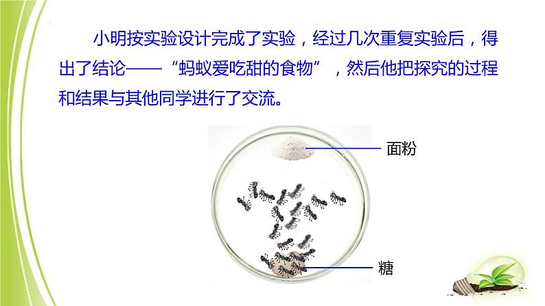 1.4+学习探究课件+-2023-2024学年冀少版生物七年级上册第6页