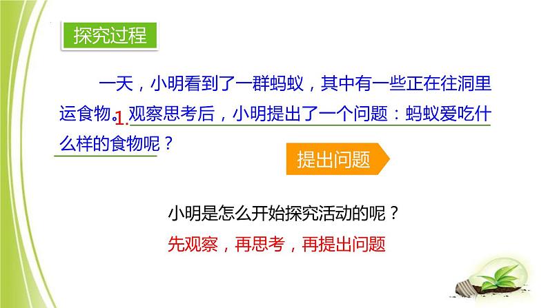 1.4+学习探究课件+-2023-2024学年冀少版生物七年级上册第7页