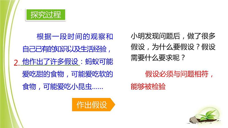 1.4+学习探究课件+-2023-2024学年冀少版生物七年级上册第8页