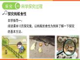 1.4+学习探究课件++-2023-2024学年冀少版生物七年级上册