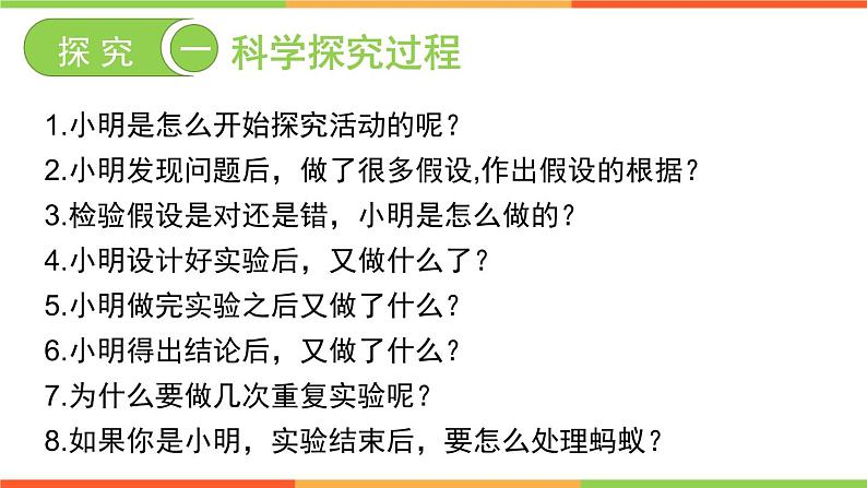 1.4+学习探究课件++-2023-2024学年冀少版生物七年级上册第5页