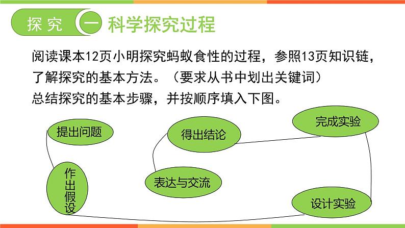 1.4+学习探究课件++-2023-2024学年冀少版生物七年级上册第6页