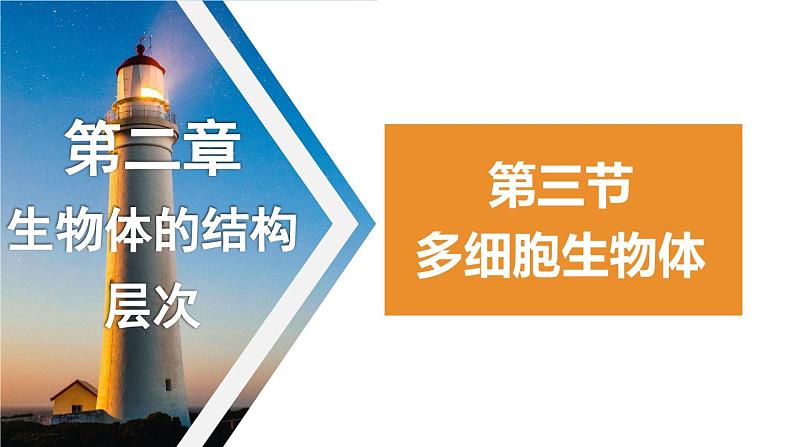 1.2.3多细胞生物体课件+-2023-2024学年冀少版生物七年级上册01