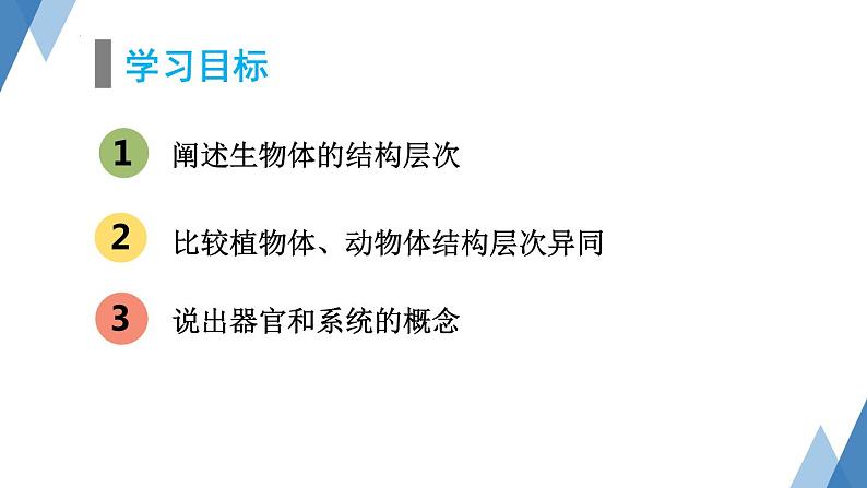 1.2.3多细胞生物体课件+-2023-2024学年冀少版生物七年级上册02