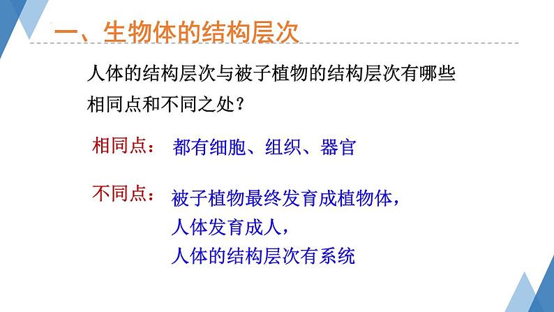 1.2.3多细胞生物体课件+-2023-2024学年冀少版生物七年级上册05