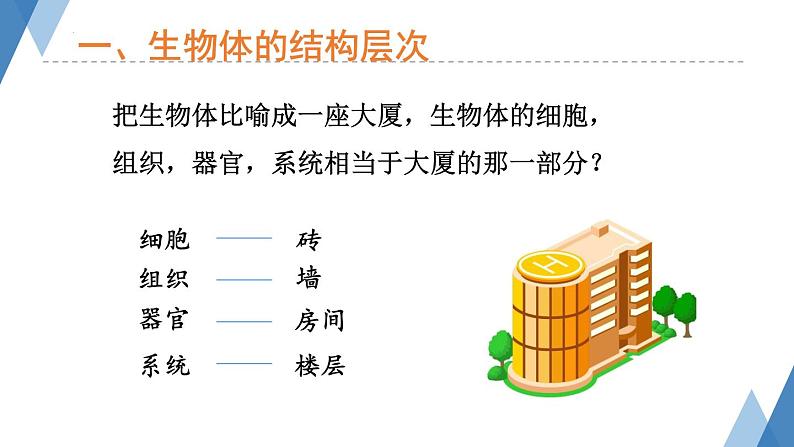 1.2.3多细胞生物体课件+-2023-2024学年冀少版生物七年级上册06