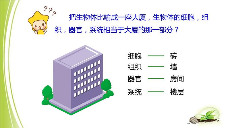 1.2.3多细胞生物体课件+2023-2024学年冀少版生物七年级上册05