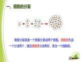 1.2.1-4细胞的分裂与生长课件+-2023-2024学年冀少版生物七年级上册