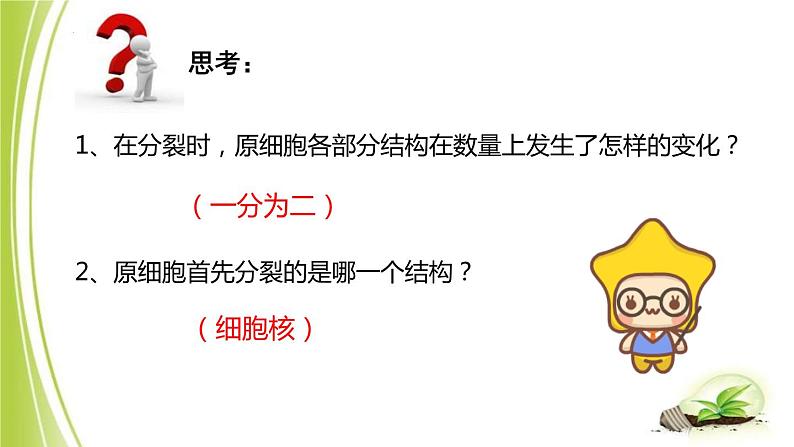 1.2.1-4细胞的分裂与生长课件+-2023-2024学年冀少版生物七年级上册07