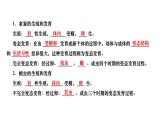 +7.1.2+昆虫的生殖和发育++课件2023--2024学年人教版生物八年级下册