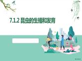 +7.1.2+昆虫的生殖和发育++课件2023--2024学年人教版生物八年级下册