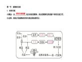+7.1.1++植物的生殖+++课件2023--2024学年人教版生物八年级下册
