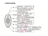 7.1.4+鸟的生殖和发育课件2023--2024学年人教版生物八年级下册 - 副本