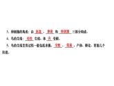 7.1.4+鸟的生殖和发育课件2023--2024学年人教版生物八年级下册 - 副本