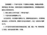 7.1.4+鸟的生殖和发育课件2023--2024学年人教版生物八年级下册 - 副本