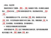 7.1.3+两栖动物的生殖和发育+课件2023--2024学年人教版生物八年级下册 - 副本