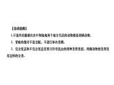 7.1.3+两栖动物的生殖和发育+课件2023--2024学年人教版生物八年级下册 - 副本