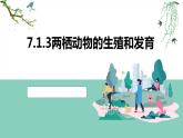7.1.3+两栖动物的生殖和发育+课件2023--2024学年人教版生物八年级下册 - 副本